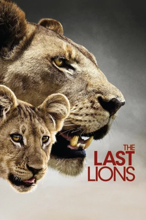 Bầy Sư Tử Cuối Cùng - The Last Lions (2011)