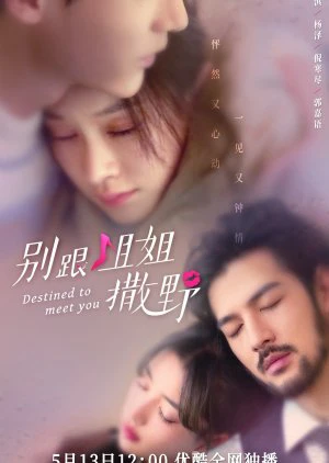 Đừng Nhờn Với Chị - Destined To Meet You (2022)