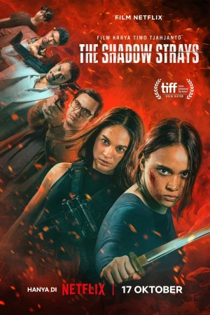 Sát thủ mật danh 13 - The Shadow Strays (2024)