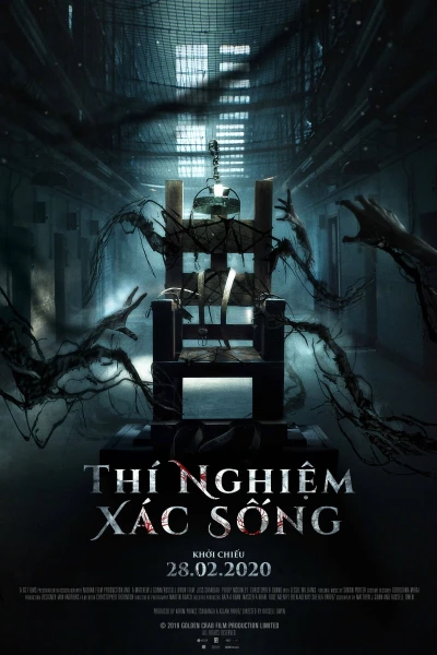 Thí Nghiệm Xác Sống - Patients of a Saint (2020)